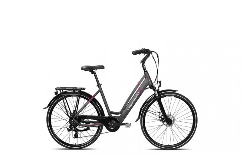 Capriolo E-City Lady 28 E-BIKE szürke