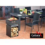 Cattara CUBE tűztér ráccsal 74cm